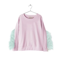 Embellished Sweatshirt  Purple - Size : (6)