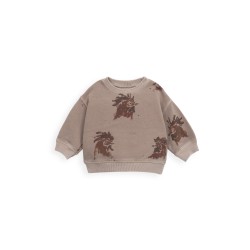 Printed Fleece Sweater  Cesar - Size : (3M)