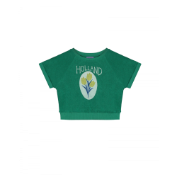 Amsterdam sweat-  grass - Size : (2-3)