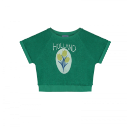 Amsterdam sweat-  grass - Size : (2-3)