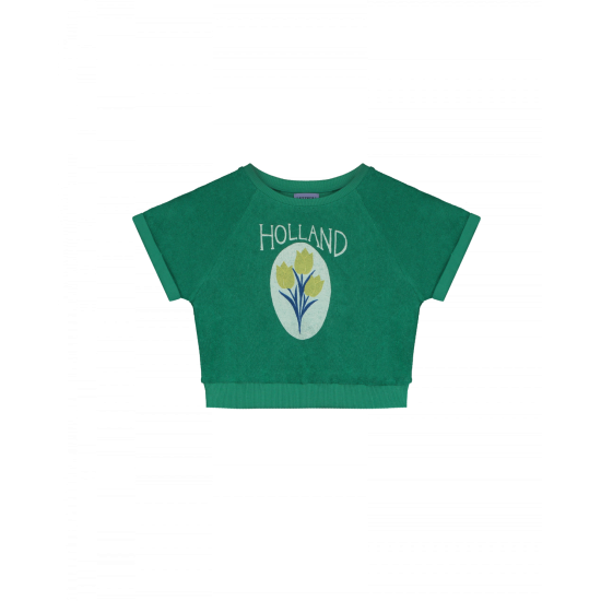 Amsterdam sweat-  grass